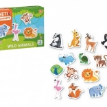 Sada magnetov Safari