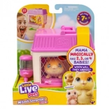 little live pets mini mama škrečok s prekvapením mláďat v domčeku