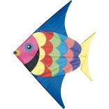 Vilac lietajúci drak ryba