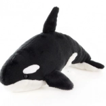 Plyšová kosatka