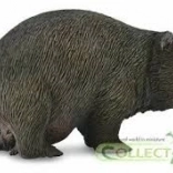 Wombat Medvedovitý Collecta