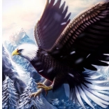 Diamantové maľovanie Orol 30x40 cm