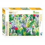 Puzzle Brain Tree Kaktusy 1000 dielikov