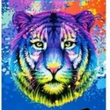 Trojhranné pastelky Triocolor 36 ks od KOH-I-NOOR - tiger