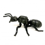 Figúrka mravca čiernolesklého