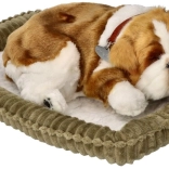 Dýchajúce šteniatko buldog