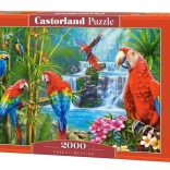 Puzzle 2000 dielikov Parrot Meeting