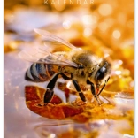 Nástenný včelársky kalendár 2026