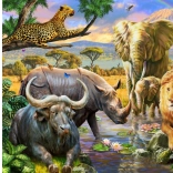 Norimpex Diamantové maľovanie Kráľovstvo zvierat 30x40cm
