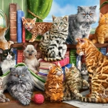 Puzzle 2000 dielikov - Mačací Dom