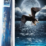 Diamantové maľovanie Nočný lovec 80 × 40 cm