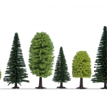 Noch zmiešaný les – sada 10 stromov