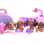 sada psíkov s doplnkami na hranie a starostlivosť