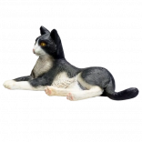 Čiernobiela ležiaca mačka Mojo