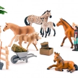 Sada 25 koní Faunica (škvrnité a hnedé)