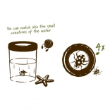 Navir Explora veľký pohár na pozorovanie hmyzu