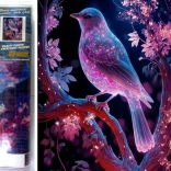 Norimpex diamantové maľovanie Nočný vták 30x40 cm