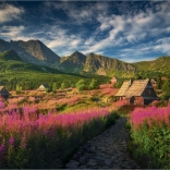 Puzzle Gaseinicova dolina 1000 dielikov