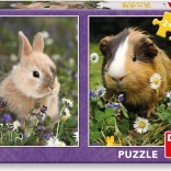 Detské puzzle zajačik a morča 2×48 dielikov