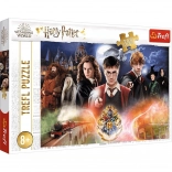 Puzzle HARRY POTTER – 300 dielikov