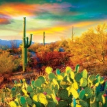 Puzzle Eurographics Sny púšte 1000 dielikov