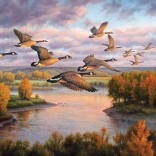 Puzzle Migrácia COBBLE HILL 1000 dielikov