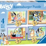 Puzzle 4v1 Bluey od Ravensburger