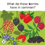 Yummy! vzdelávacia hra o zdravom stravovaní pre deti od 3 rokov