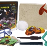 Archeologická súprava Výkopové hmyz v jantari