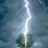 Eurographics puzzle Strom zasiahnutý bleskom 1000 dielikov