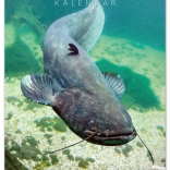 Nástenný kalendár Rybársky 2026