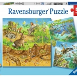 Puzzle Zvieratká vo Svojich Domovoch 3x49 Dielikov