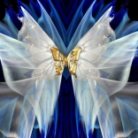 Diamantové maľovanie Zlatý motýľ 30x40cm