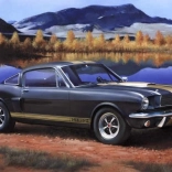 Plastový model Shelby Mustang GT350H