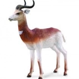 Collecta albatros sťahovavý – realistická figúrka