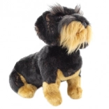 Plyšový jazvečík s vôdzkou 29 cm