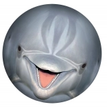 Podvodná lopta SPORTO – delfín do bazéna aj záhrady