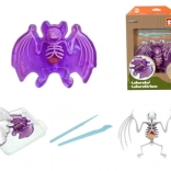 Objavuj: pitva netopiera – vzdelávacia sada so slizom