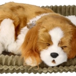 Dýchajúce šteniatko Cavalier