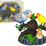 Spievajúce pohyblivé papagáje Farebný strom