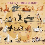 Puzzle Joga XL 500 dielikov