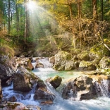 Puzzle Riečka v lese 2000 dielikov