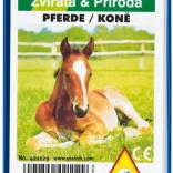 Kvarteto - Kone v plastovej krabičke