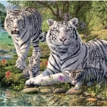 Puzzle Biele Tigre 1000 Dielikov – Tajná Kolekcia od Dino