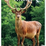 Nástenný kalendár Poľovnícky 2026