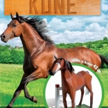 Postav si svojho koňa – kreatívny 3D model bez nožníc a lepidla