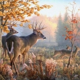 Diamantové maľovanie Jelene v rannej hmle 30x40 cm