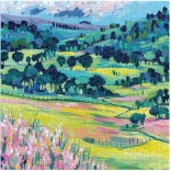 Galison puzzle Maľovaná príroda 500 dielikov