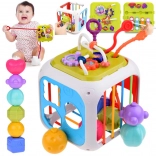 Vzdelávacia aktívna kocka so sortérom tvarov a cimbálkami