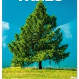 Nástenný kalendár Notique Stromy 2026